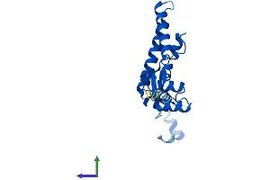 AlphaFold protein structure predicition of Human Recombinant IMP3 Protein, UniprotID Q9NV31