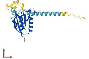 AlphaFold protein structure predicition of Mouse Recombinant Desi2 Protein, UniprotID Q9D291