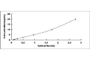 Typical standard curve (HINT1 ELISA 试剂盒)