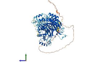 AlphaFold protein structure predicition of Human Recombinant GTF3C4 Protein, UniprotID Q9UKN8