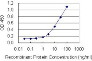 Detection limit for recombinant GST tagged PHF6 is 0. (PHF6 抗体  (AA 1-99))