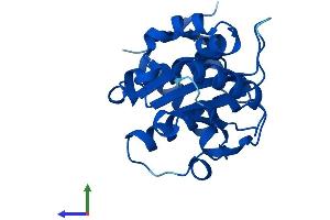 AlphaFold protein structure predicition of Human Recombinant SENP8 Protein, UniprotID Q96LD8