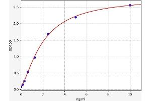 Typical standard curve (B4GALT5 ELISA 试剂盒)