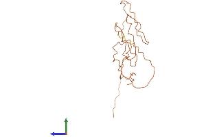 Protein Structure (PS) image for Keratin Associated Protein 5-8 (KRTAP5-8) (AA 1-187) protein (His tag) (ABIN7548768)
