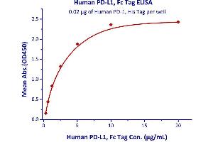 Binding Studies (Bind) image for CD274 (PD-L1) (AA 19-238) (Active) protein (Fc Tag) (ABIN2181595)