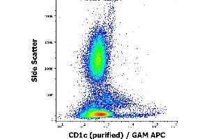 Flow cytometry surface staining pattern of human peripheral whole blood stained using anti-human CD1c (L161) purified antibody (concentration in sample 0,33 μg/mL, GAM APC). (CD1c 抗体)