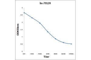 Antigen: 0. (GAK 抗体  (AA 244-330))
