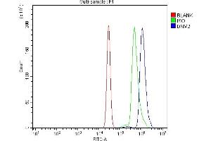 Flow Cytometry analysis of U937 cells using anti-Dynamin 2/DNM2 antibody (ABIN7601862).