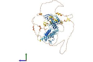 Protein Structure (PS) image for phosphoinositide-3-Kinase Adaptor Protein 1 (PIK3AP1) (AA 1-805) protein (His tag) (ABIN7552558)