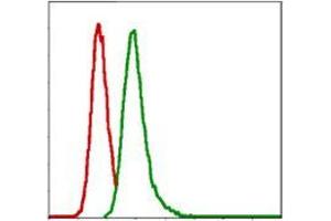 Flow cytometric analysis of MCF-7 cells using G6PD mouse mAb (green) and negative control (red).