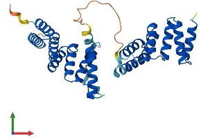 AlphaFold protein structure predicition of Human Recombinant TOMM34 Protein, UniprotID Q15785