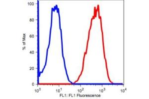 Image no. 2 for anti-CD90 (THY1) antibody (ABIN2704352) (CD90 抗体)