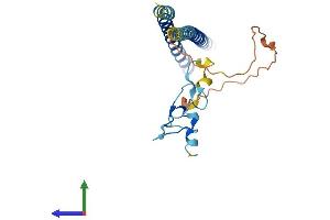 AlphaFold protein structure predicition of Human Recombinant ING4 Protein, UniprotID Q9UNL4