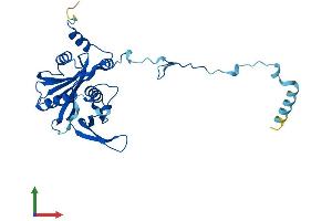 AlphaFold protein structure predicition of Human Recombinant RPF2 Protein, UniprotID Q9H7B2 (RPF2 Protein (AA 1-306) (His tag))