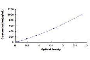 ELISA image for Gastrokine 2 (GKN2) ELISA Kit (ABIN423646)