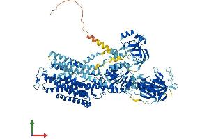 Protein Structure (PS) image for ATPase, Na+/K+ Transporting, alpha 4 Polypeptide (ATP1A4) (AA 1-1029) protein (His tag) (ABIN7552420)