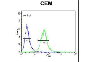Flow cytometric analysis of CEM cells (right histogram) compared to a negative control cell (left histogram). (AMY1A 抗体  (AA 195-223))