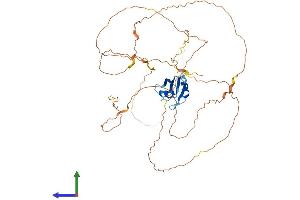 Protein Structure (PS) image for RNA Binding Motif Protein, Y-Linked Family 1 Member A1 (RBMY1A1) (AA 1-496) protein (His tag) (ABIN7551296)