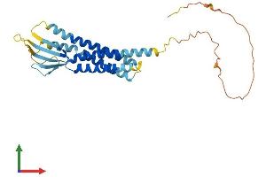 Protein Structure (PS) image for Calcium Channel, Voltage-Dependent, gamma Subunit 5 (CACNG5) (AA 1-275) protein (His tag) (ABIN7552945)