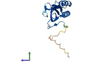 Protein Structure (PS) image for Ribonuclease P/MRP 25 Subunit-Like (RPP25L) (AA 1-163) protein (His tag) (ABIN7551478)