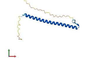 Protein Structure (PS) image for CAMP Responsive Element Binding Protein-Like 2 (CREBL2) (AA 1-123) protein (His tag) (ABIN7557020)