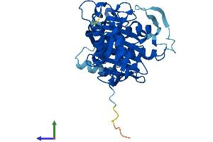 Protein Structure (PS) image for Fructose-1,6-Bisphosphatase 2 (FBP2) (AA 1-339) protein (His tag) (ABIN7547640)