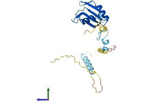 Protein Structure (PS) image for Zinc Finger CCHC-Type and RNA Binding Motif 1 (ZCRB1) (AA 1-217) protein (His tag) (ABIN7545248)