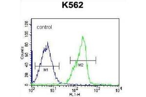 Flow Cytometry (FACS) image for anti-Zinc Finger Protein 146 (ZNF146) antibody (ABIN5016317) (ZNF146 抗体)