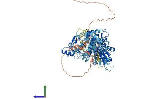 Protein Structure (PS) image for Calpain 3 (CAPN3) (AA 1-821) protein (His tag) (ABIN7552959)