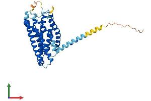AlphaFold protein structure predicition of Human Recombinant FFAR2 Protein, UniprotID O15552 (FFAR2 Protein (AA 1-330) (His tag))