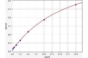 Heat Shock 60kDa Protein 1 (Chaperonin) (HSPD1) ELISA Kit