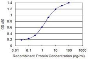 Detection limit for recombinant GST tagged GSTM2 is 0. (GSTM2 抗体  (AA 90-189))