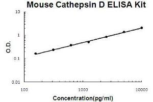 Mouse Cathepsin D PicoKine ELISA Kit standard curve (Cathepsin D ELISA 试剂盒)