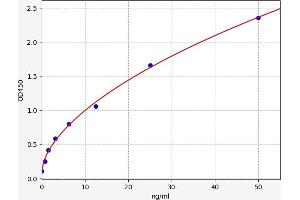 Typical standard curve (SH3GL1 ELISA 试剂盒)