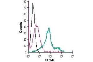 Flow Cytometry (FACS) image for anti-Solute Carrier Family 7 (Cationic Amino Acid Transporter, Y+ System), Member 2 (SLC7A2) (AA 151-163), (Extracellular) antibody (FITC) (ABIN7043749)