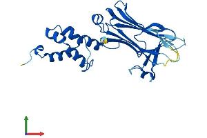 AlphaFold protein structure predicition of Mouse Recombinant Fbxo44 Protein, UniprotID Q8BK26