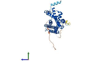 Protein Structure (PS) image for Six Transmembrane Epithelial Antigen of The Prostate 1 (STEAP1) (AA 1-339) protein (His tag) (ABIN7560679)