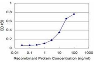 Detection limit for recombinant GST tagged MAPK3 is approximately 1ng/ml as a capture antibody. (ERK1 抗体  (AA 279-379))