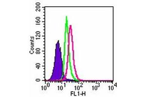 Intracellular flow analysis of TLR3 in Ramos cells. (TLR3 抗体  (AA 55-85))