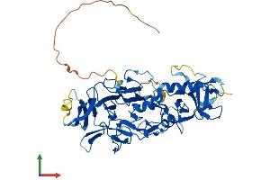 Protein Structure (PS) image for Pellino E3 Ubiquitin Protein Ligase Family Member 3 (PELI3) (AA 1-445) protein (His tag) (ABIN7559005)