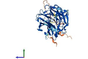 Protein Structure (PS) image for Sialidase 3 (Membrane Sialidase) (Neu3) (AA 1-418) protein (His tag) (ABIN7561714)