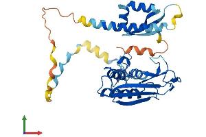 Protein Structure (PS) image for Deltex Homolog 3 (Drosophila) (DTX3) (AA 1-347) protein (His tag) (ABIN7547277)