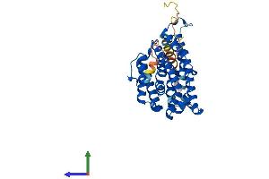 AlphaFold protein structure predicition of Human Recombinant RRM2B Protein, UniprotID Q7LG56