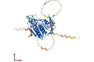 Protein Structure (PS) image for Abhydrolase Domain Containing 8 (ABHD8) (AA 1-439) protein (His tag) (ABIN7551893)
