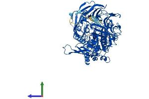 Protein Structure (PS) image for Dipeptidyl-Peptidase 4 (DPP4) (AA 1-760) protein (His tag) (ABIN7563068)