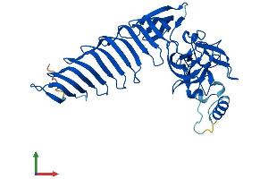Protein Structure (PS) image for SET Domain Containing (Lysine Methyltransferase) 7 (SETD7) (AA 1-366) protein (His tag) (ABIN7555491)
