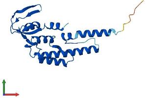 Protein Structure (PS) image for GINS Complex Subunit 2 (Psf2 Homolog) (GINS2) (AA 1-185) protein (His tag) (ABIN7551077)