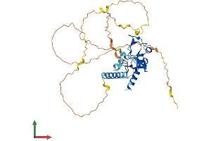 Protein Structure (PS) image for Cell Division Cycle Associated 7 (CDCA7) (AA 1-371) protein (His tag) (ABIN7553267)