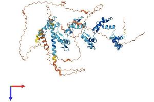 AlphaFold protein structure predicition of Human Recombinant ZNF180 Protein, UniprotID Q9UJW8 (ZNF180 Protein (AA 1-692) (His tag))