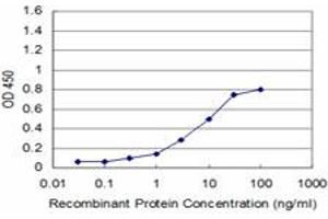 Detection limit for recombinant GST tagged RAX is approximately 1ng/ml as a capture antibody. (RAX 抗体  (AA 104-206))